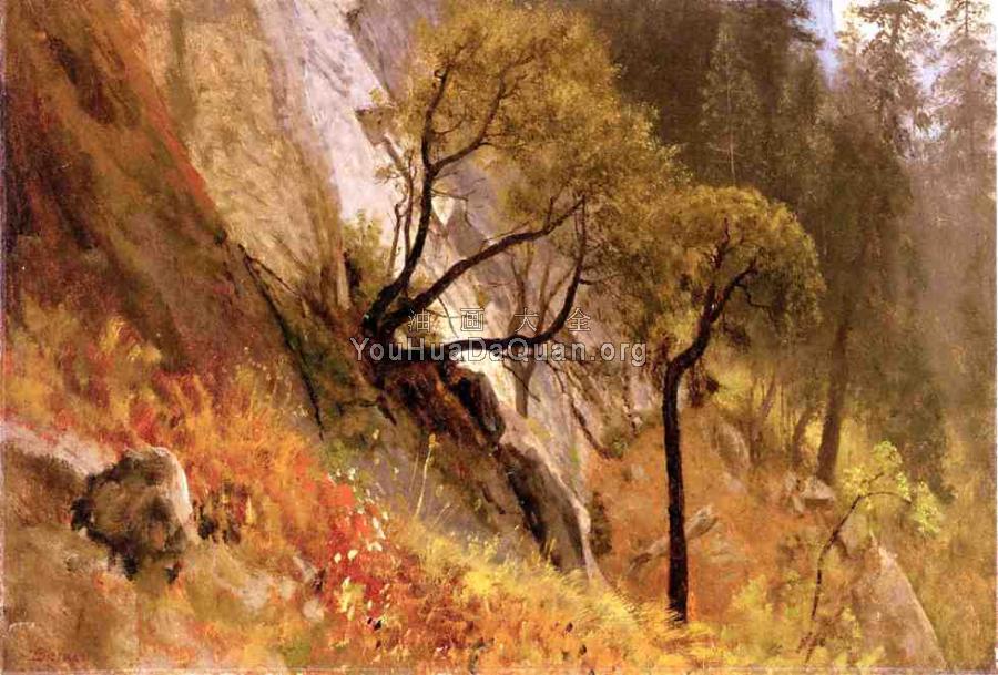 Landscape Study Yosemite California - 阿尔伯特·比尔施塔特
